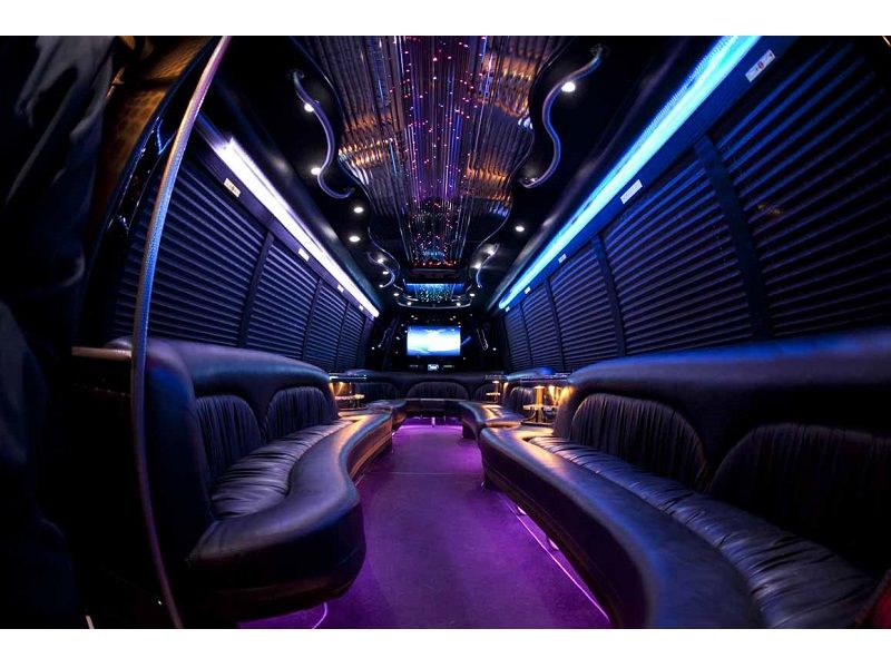 28 Passenger Limo Party Bus